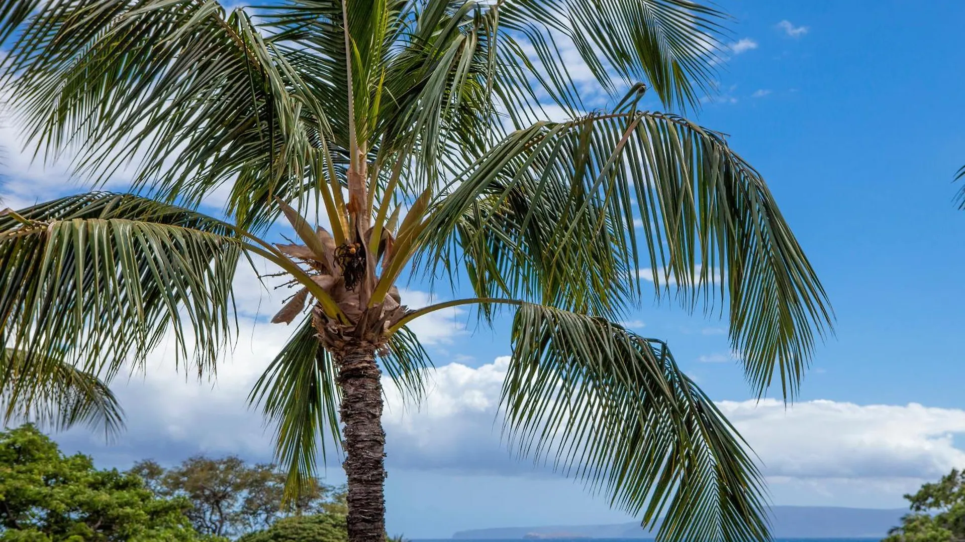 度假居 基黑Maui Vista 3310 - Mch别墅